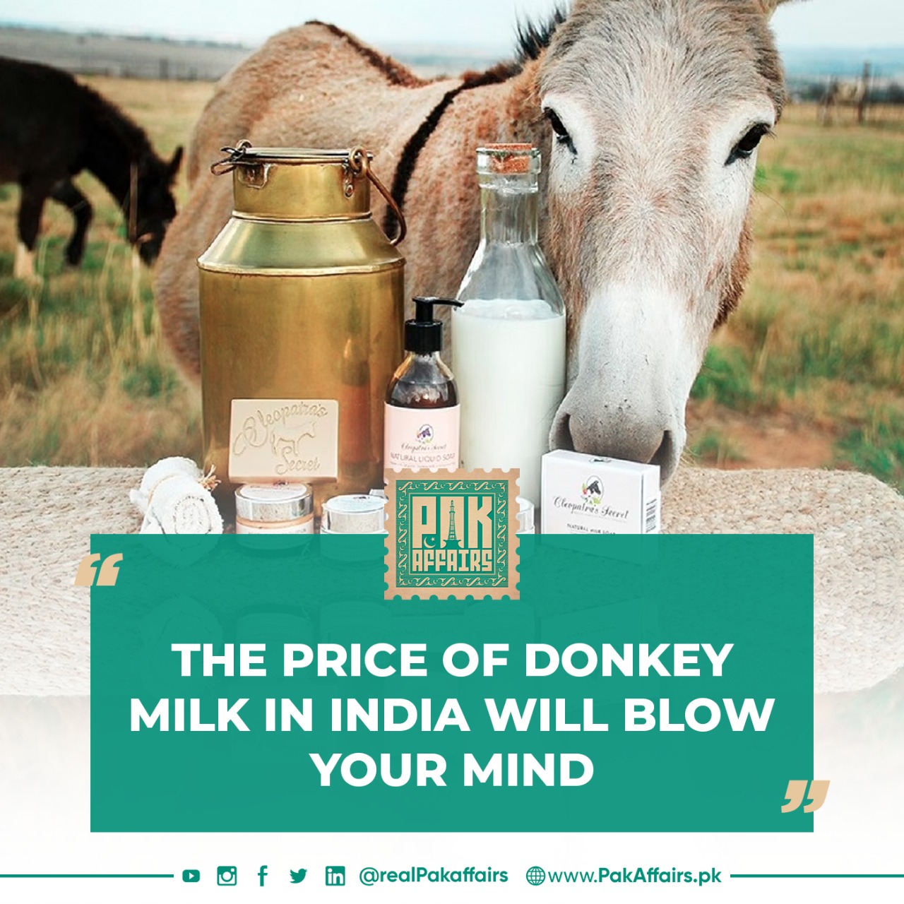 The price of donkey milk in India will blow your mind