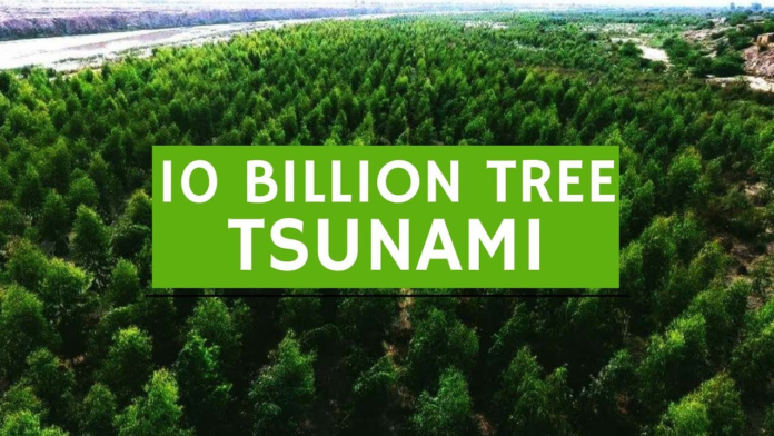 Pakistan helps Saudi Arabia to plant 10 Billion trees