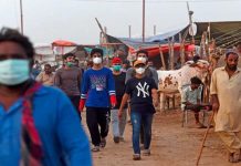 NCOC issues fresh guidelines for Eid ul Adha as COVID cases rise NCOC issues fresh guidelines for Eid ul Adha as COVID cases rise