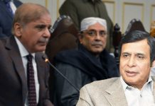 Zardari’s offer to make Parvez Elahi a government candidate, the government is also active Zardari's offer to make Parvez Elahi a government candidate, the government is also active