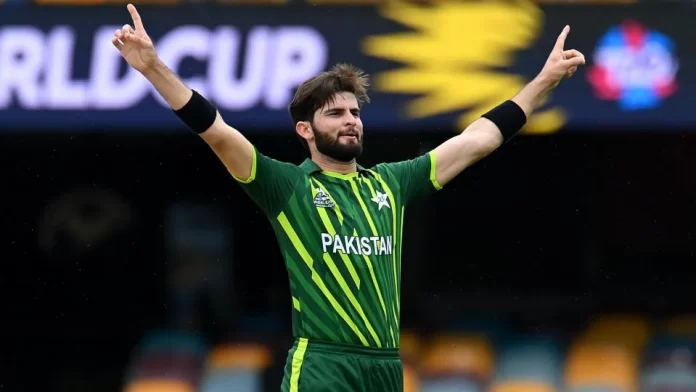 Shaheen Afridi nominated for ICC Men's Player of the Month Award