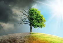 Expert warns climate change is complicating pneumonia control