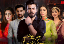 When is Pakistan’s first ever Netflix series coming to our screens?