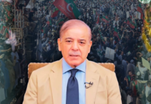 PM Criticizes PTI Power Show, Claims ‘Anarchist Group Seeks Bloodshed, Not Revolution’