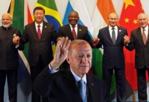 Turkey offered partner country status in BRICS, Turkish minister announces Turkey offered partner country status in BRICS, Turkish minister announces