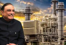 Ownership of 10 Power Distribution Companies Expected to Be Transferred to the President