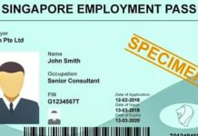 Singapore Eases Employment Pass Application for Foreign Workers