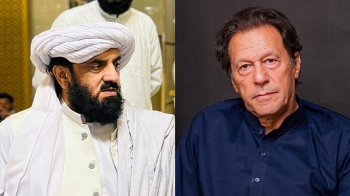 Hafiz Hamdullah Claims Backdoor Talks underway with PTI Founder