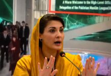 Was Maryam Nawaz Representing PML-N During Her Visit to China? Was Maryam Nawaz Representing PML-N During Her Visit to China