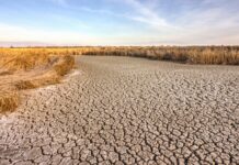 Severe Drought Expected Amid Prolonged Rainfall Shortage