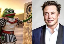 Elon Musk’s ‘New Name’ Sparks Unbelievable 900% Surge in This Crypto Memecoin’s Value Elon Musk's 'New Name' Sparks Unbelievable 900% Surge in This Crypto Memecoin's Value