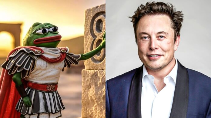 Elon Musk's 'New Name' Sparks Unbelievable 900% Surge in This Crypto Memecoin's Value