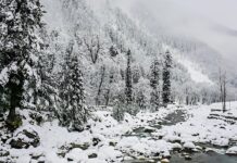 Is Pakistan Set to Experience Its Coldest Weather in a Century by January 15? Is Pakistan Set to Experience Its Coldest Weather in a Century by January 15