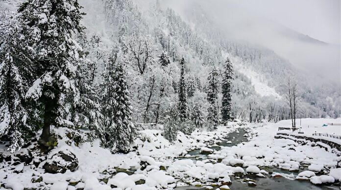 Is Pakistan Set to Experience Its Coldest Weather in a Century by January 15