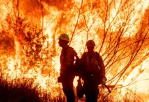 Los Angeles Wildfires: Uncovering the Cause of the Devastating Blaze Los Angeles Wildfires Uncovering the Cause of the Devastating Blaze
