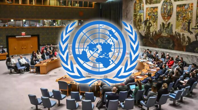 Pakistan Secures Two-Year Membership on UN Security Council