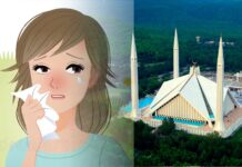 Pollen Levels in Islamabad Hit Hazardous Levels